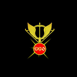 ООО ЧОП ССО