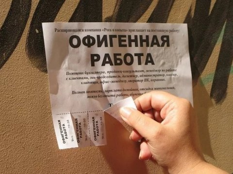 Трудоустройство